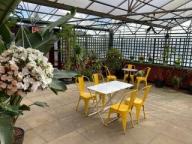 conservatory 4resized